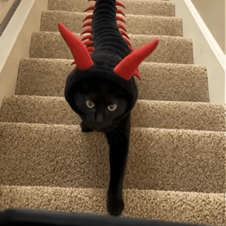 The Viral Centipede™ Costume